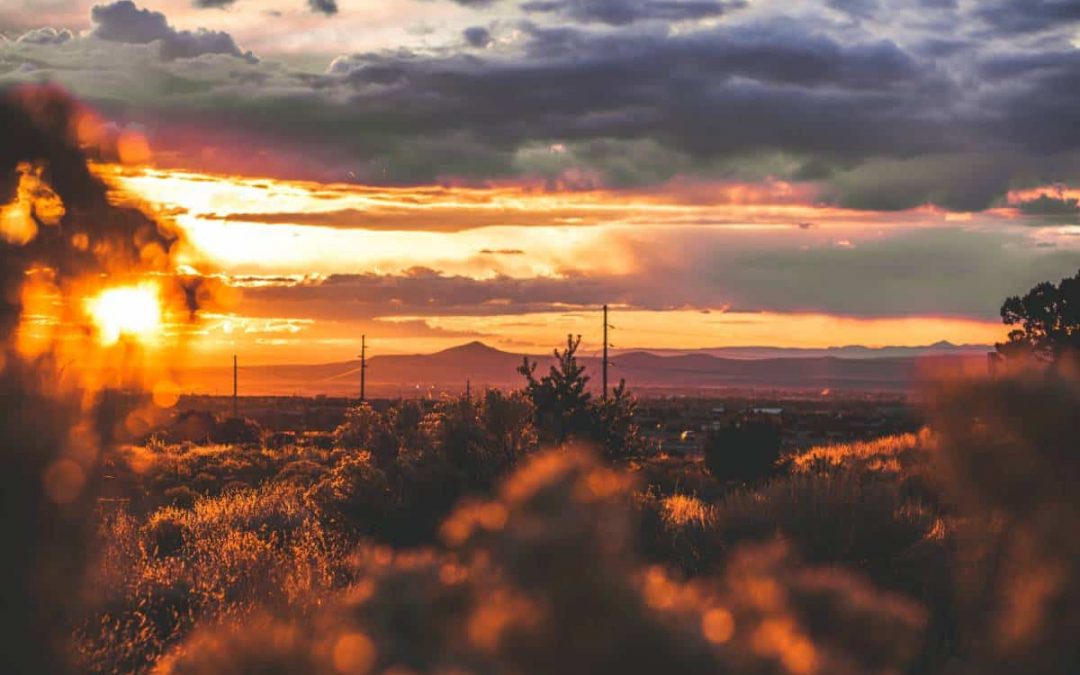 Presentation: Keystone Symposia in Santa Fe, NM