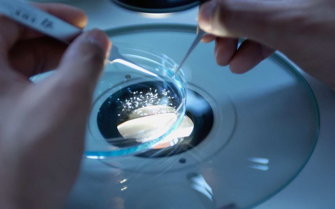 Crestone Awarded a Phase II SBIR Grant