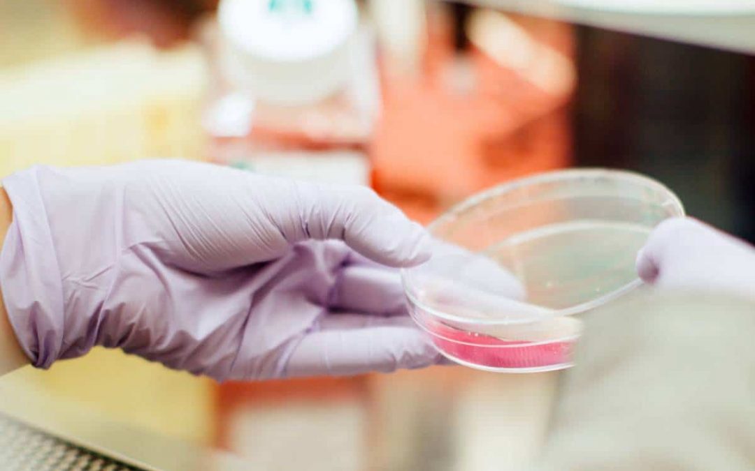 First Patient Enrolled in Phase 2 Clinical Trial + QIDP & Fast Track