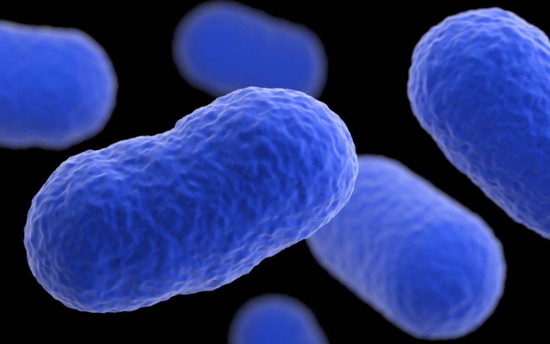 Publication of Data on the Novel Antibiotic CRS0540