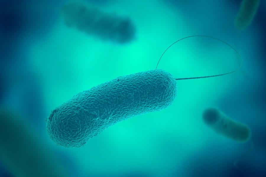 Flagellum on bacteria cell in medical research in Colorado